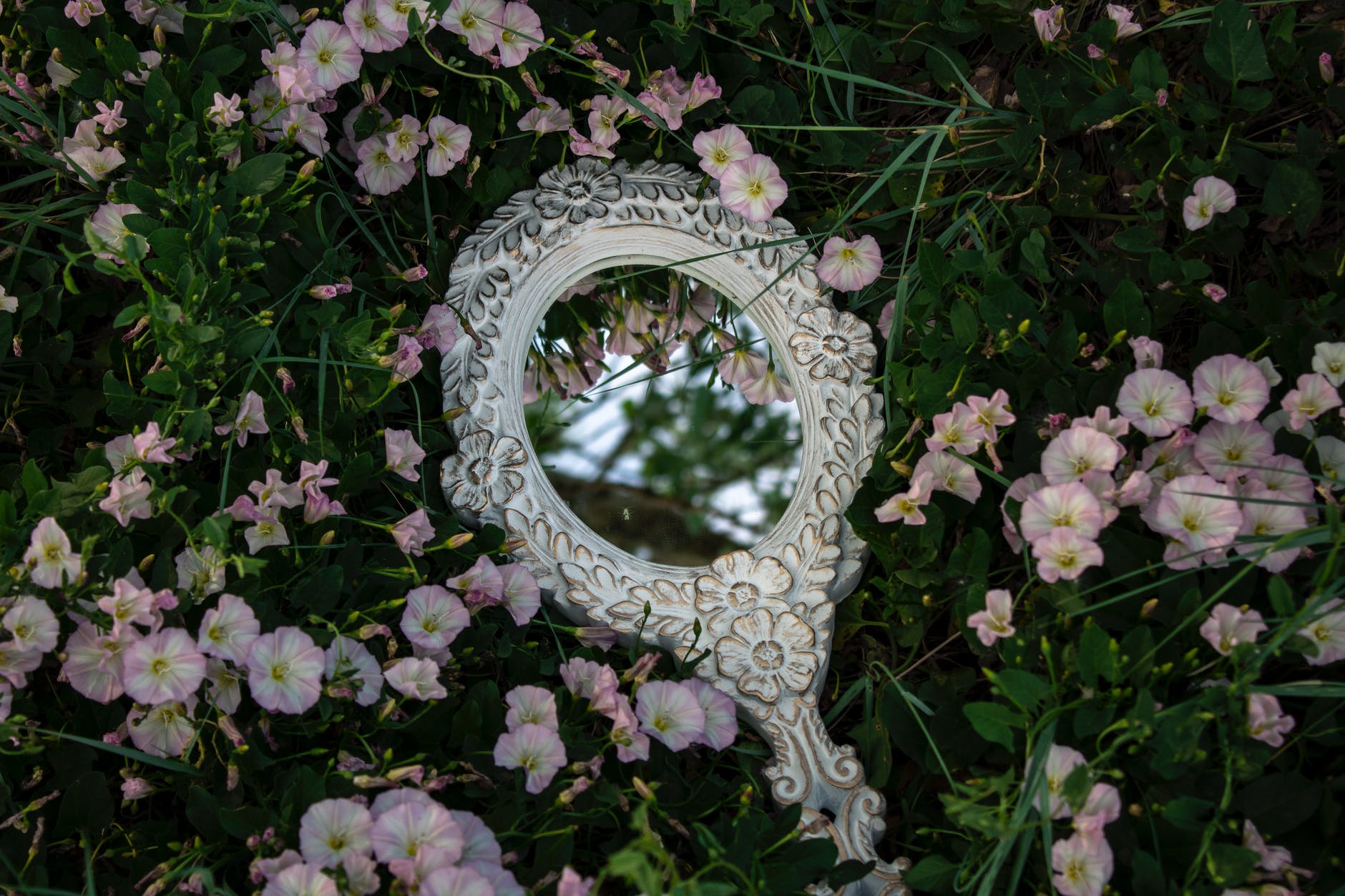 mirror reflection of the flowers