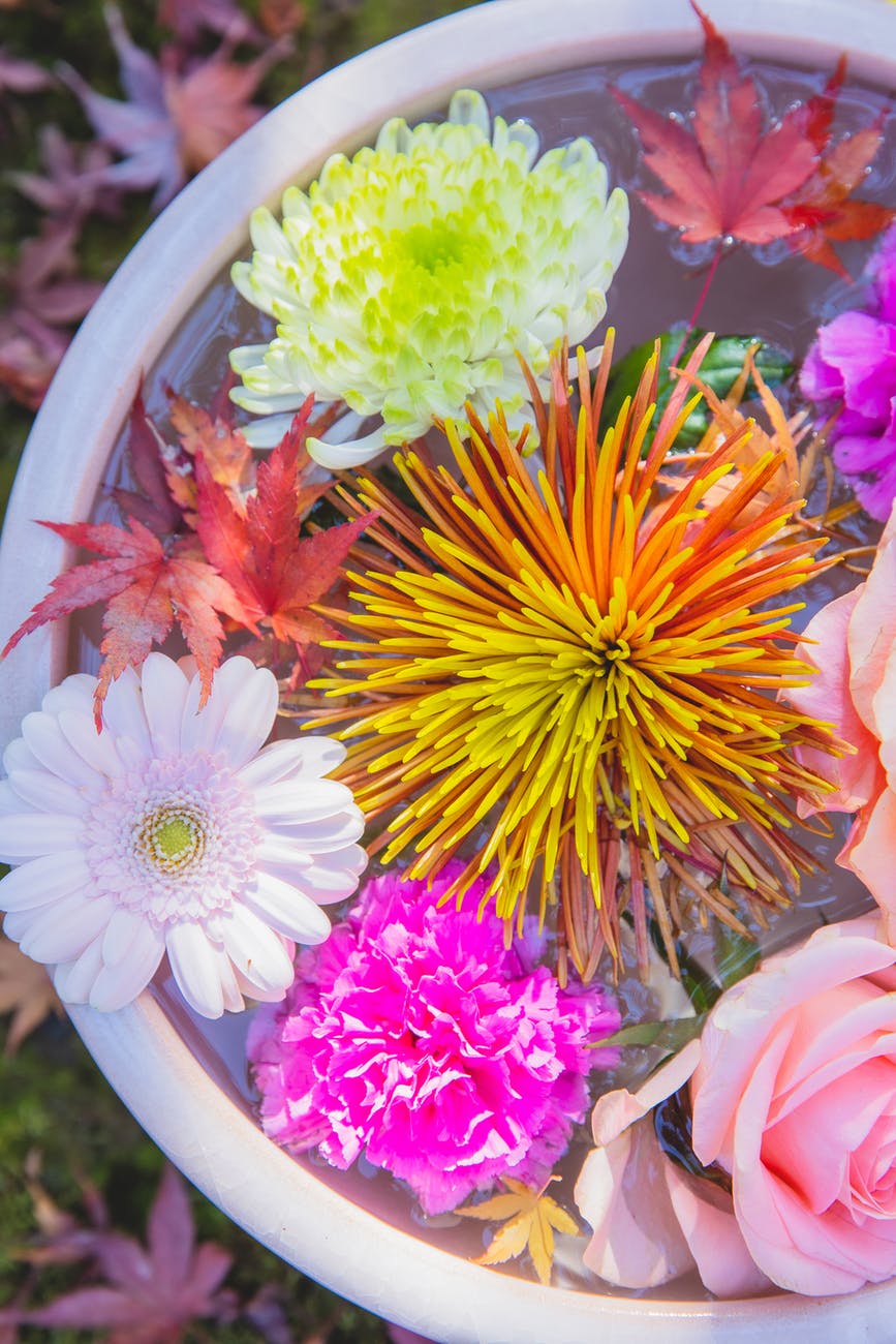 bunch of fresh colorful flowers in water in pot