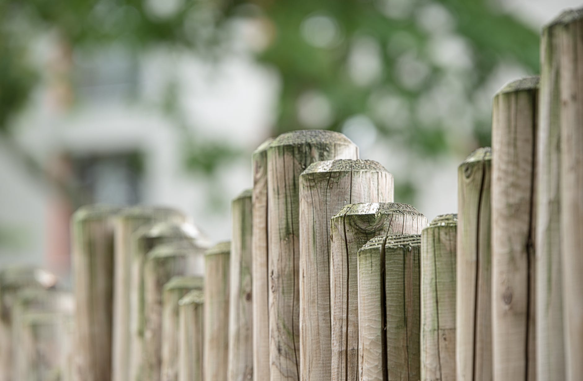 wood garden fence board