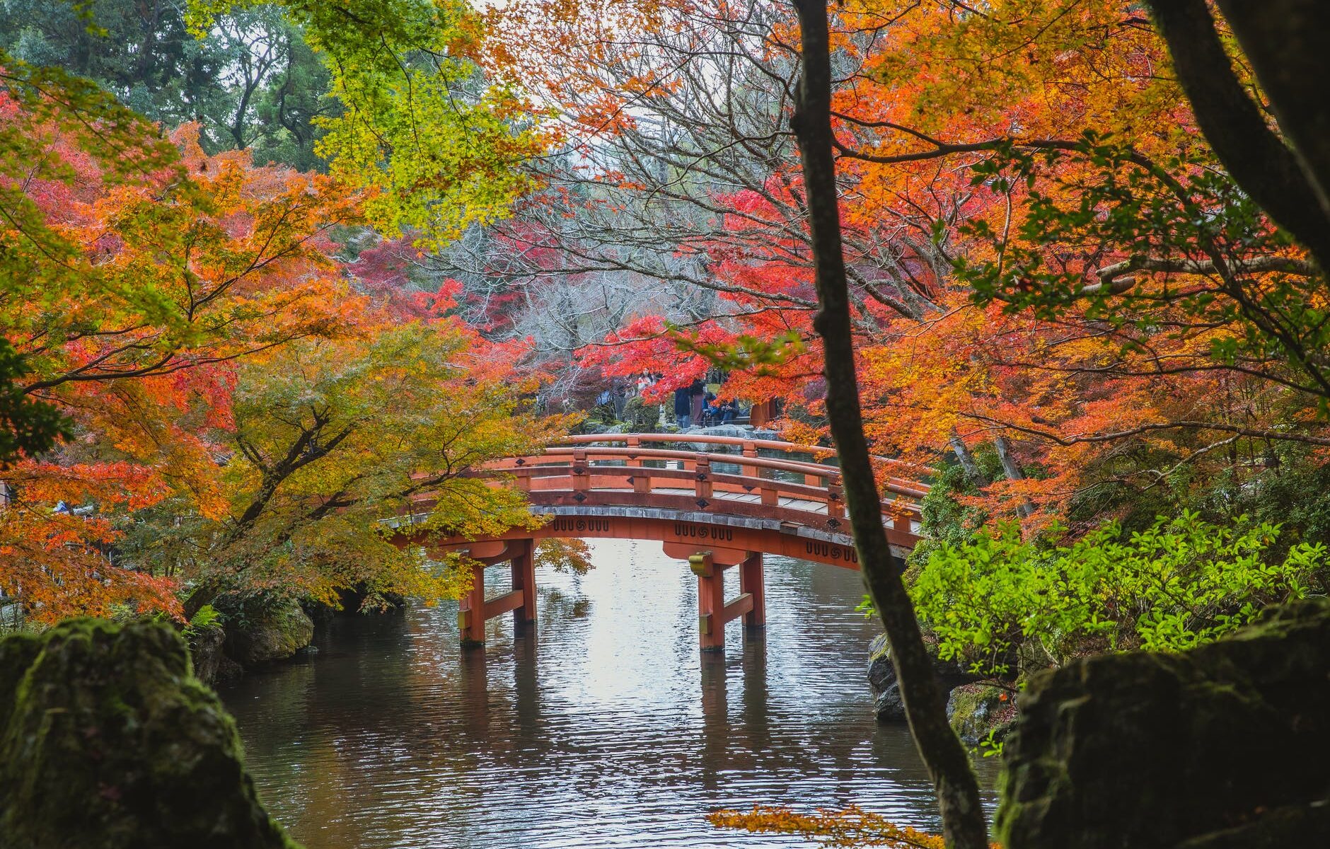 arched bridge over calm lake in japanese park