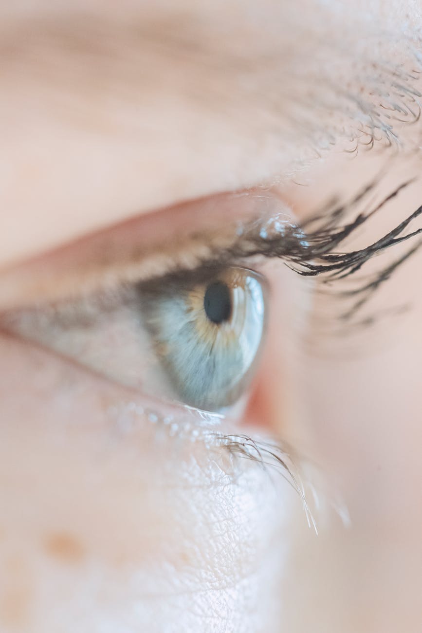 blue eye of crop woman