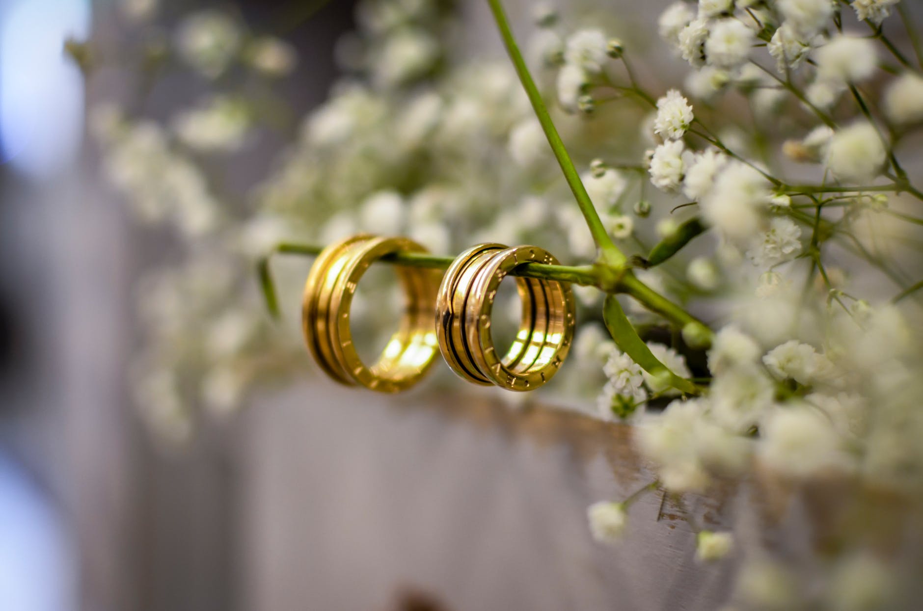 close up photo of gold wedding rings